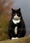 31 Farbenspiel